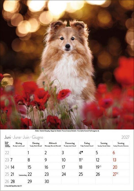 Produktbild: Hunde 2027