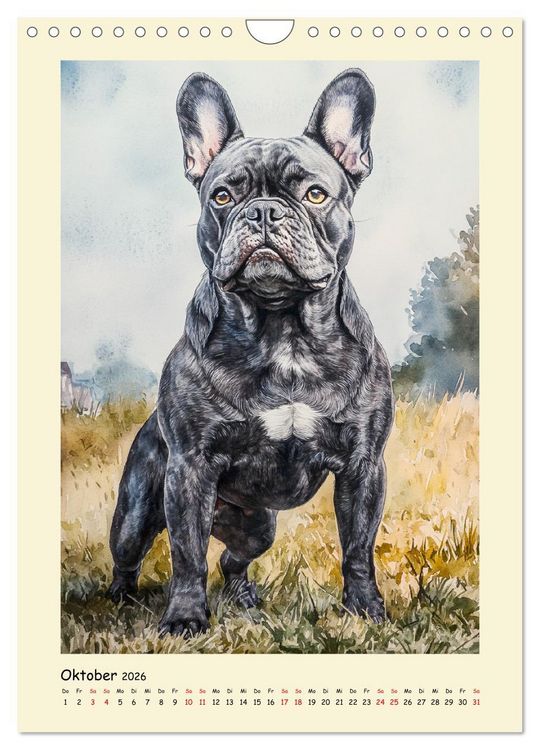 Produktbild: Charmante Bulldoggen. Franz&ouml;sische Lebensfreude auf vier Pfoten (Wandkalender 2026 DIN A4 hoch), CALVENDO Monatskalender