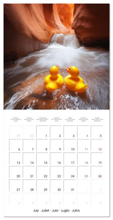 Produktbild: Yellow Travelers (Wall Calendar 2026 12 &times; 12 Inch) CALVENDO 12 Month Wall Calendar