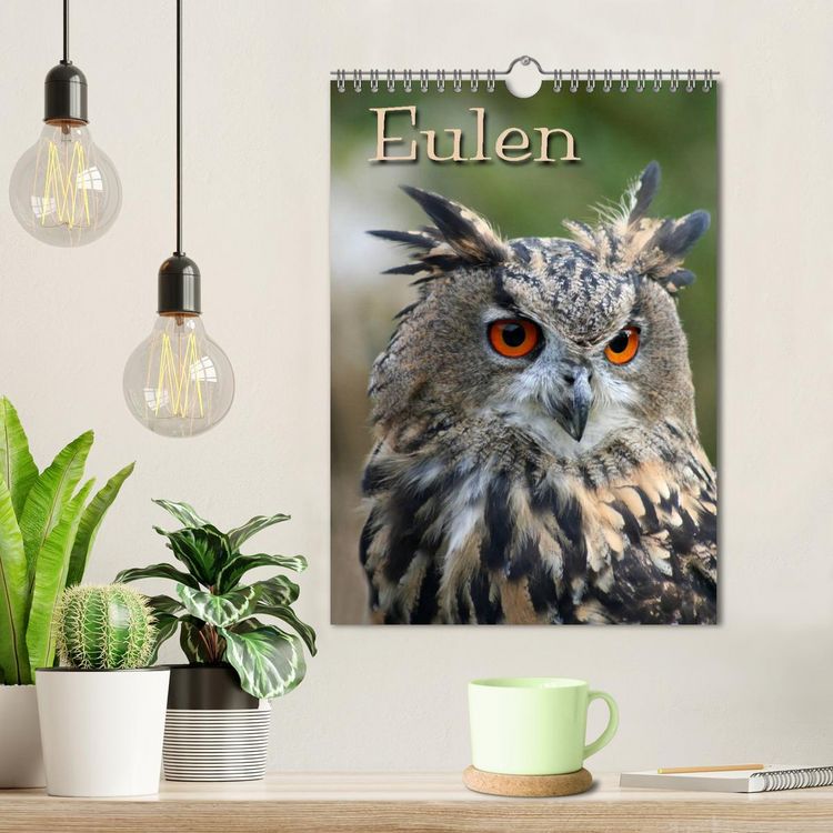 Produktbild: Eulen (Wandkalender 2026 DIN A4 hoch), CALVENDO Monatskalender