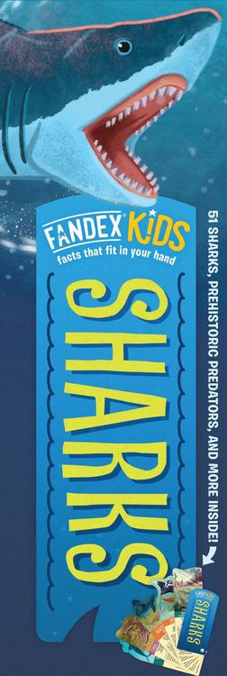 Produktbild: Fandex Kids: Sharks