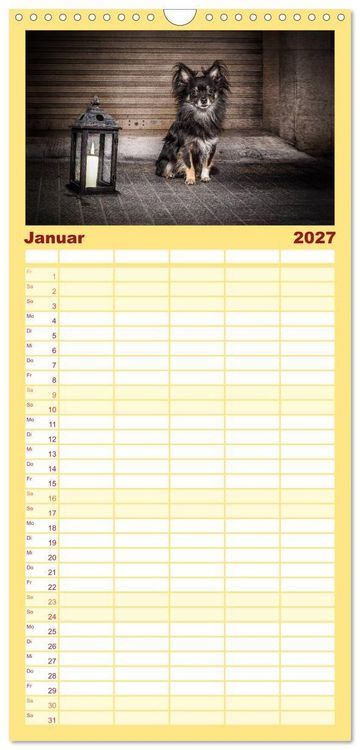 Produktbild: Familienplaner 2027 - Chihuahuas - Cool and Cute mit 5 Spalten (Wandkalender, 21 x 45 cm) CALVENDO