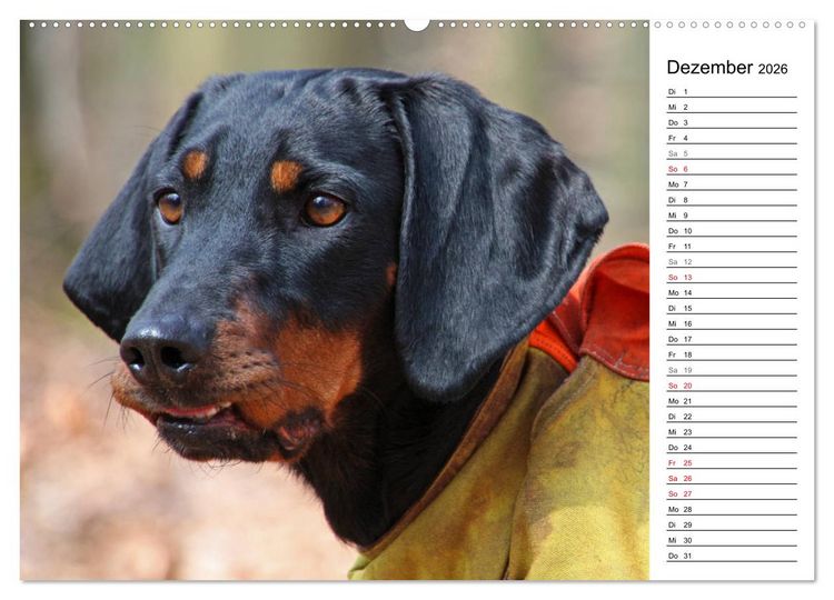 Produktbild: Der Brandlbracken-Terminplaner (hochwertiger Premium Wandkalender 2026 DIN A2 quer), Kunstdruck in Hochglanz