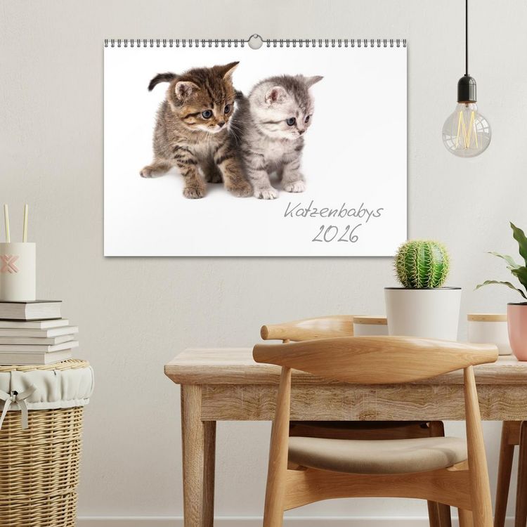 Produktbild: Katzenbabys (Wandkalender 2026 DIN A3 quer), CALVENDO Monatskalender
