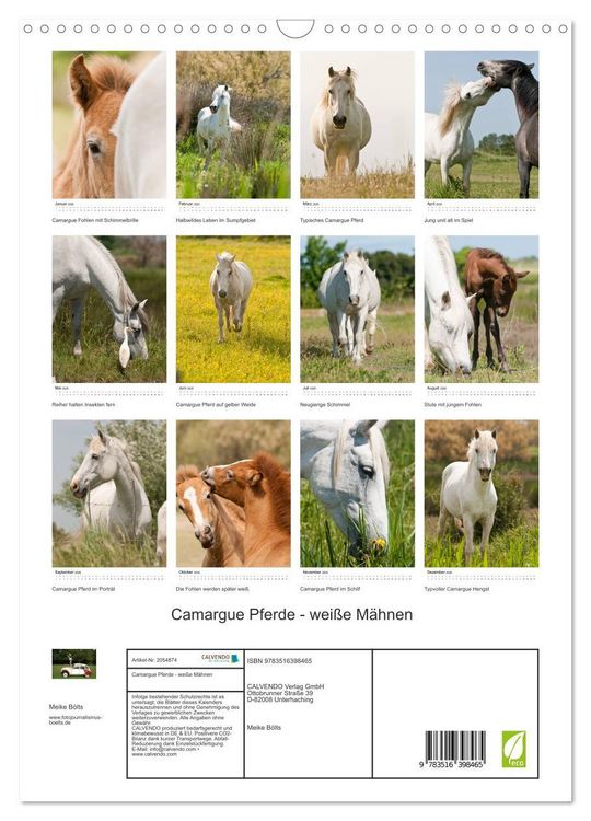 Produktbild: Camargue Pferde - wei&szlig;e M&auml;hnen (Wandkalender 2026 DIN A3 hoch), CALVENDO Monatskalender