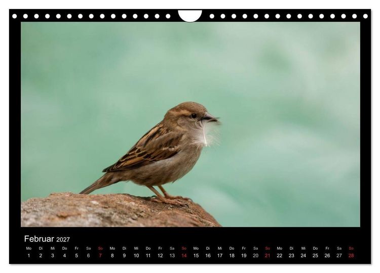 Produktbild: Natur erleben... (Wandkalender 2027 DIN A4 quer), CALVENDO Monatskalender
