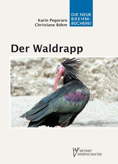 Produktbild: Der Waldrapp