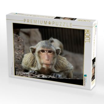 Produktbild: CALVENDO Puzzle Thailand, Affe in Lopburi | 1000 Teile Lege-Gr&ouml;&szlig;e 64x48cm Foto-Puzzle f&uuml;r gl&uuml;ckliche Stunden