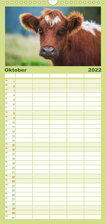 Produktbild: Ein Herz f&uuml;r Rinder - Familienplaner hoch (Wandkalender 2022 , 21 cm x 45 cm, hoch)