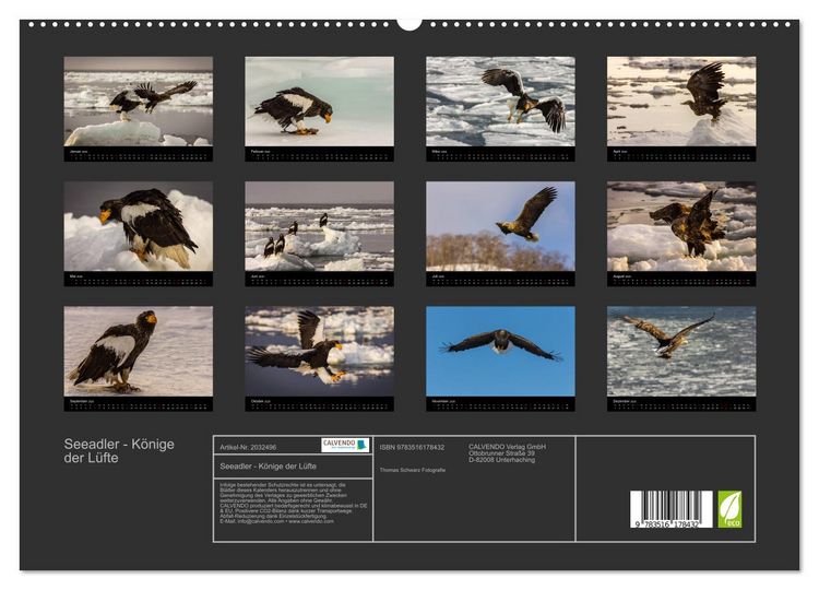 Produktbild: Seeadler - K&ouml;nige der L&uuml;fte (hochwertiger Premium Wandkalender 2026 DIN A2 quer), Kunstdruck in Hochglanz