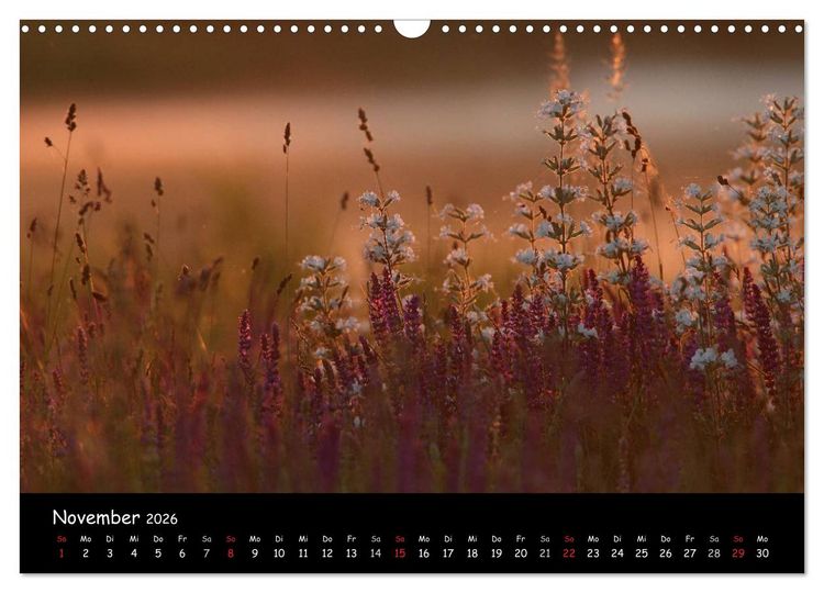 Produktbild: Naturjuwelen - Neusiedler See (Wandkalender 2026 DIN A3 quer), CALVENDO Monatskalender