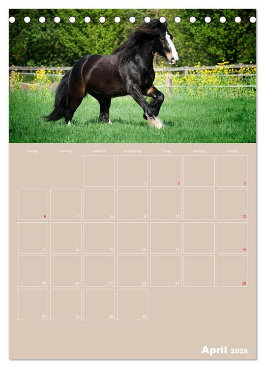 Produktbild: Pferde / Planer (Tischkalender 2026 DIN A5 hoch), CALVENDO Monatskalender