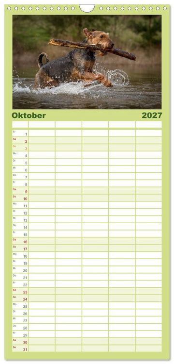 Produktbild: Familienplaner 2027 - Airedale-Terrier, was sonst! mit 5 Spalten (Wandkalender, 21 x 45 cm) CALVENDO