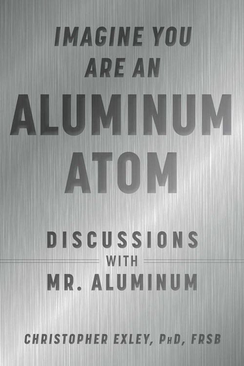 Produktbild: Imagine You Are An Aluminum Atom