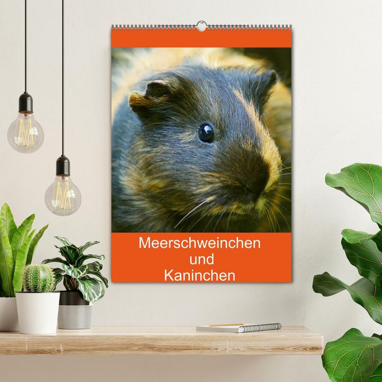 Produktbild: Meerschweinchen und Kaninchen Familienplaner (Wandkalender 2026 DIN A2 hoch), CALVENDO Monatskalender