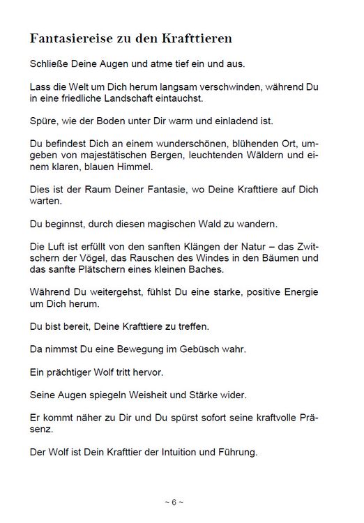 Produktbild: Die magische Welt der Krafttiere