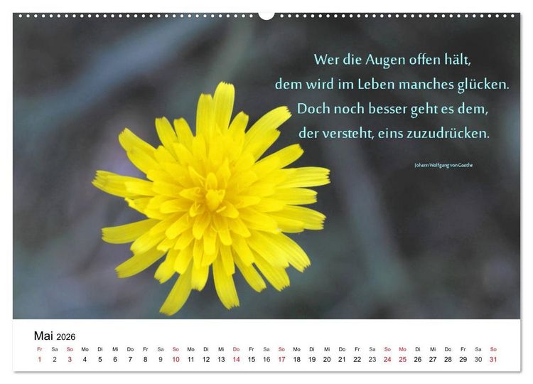 Produktbild: Lebensweisheiten 2026 (Wandkalender 2026 DIN A2 quer), CALVENDO Monatskalender