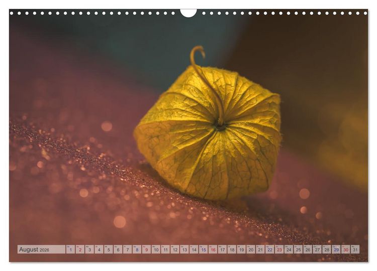 Produktbild: Kunstvolle Physalis-Kleine Frucht von gro&szlig;er Faszination (Wandkalender 2026 DIN A3 quer), CALVENDO Monatskalender
