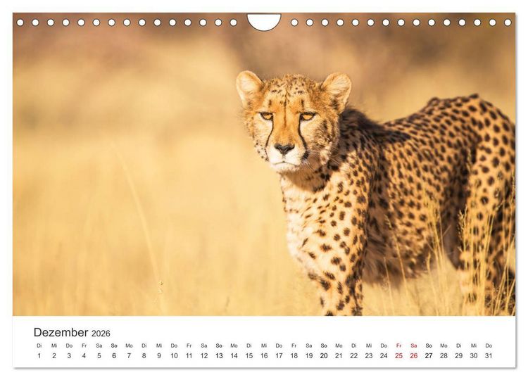 Produktbild: Safari durch Afrika (Wandkalender 2026 DIN A4 quer), CALVENDO Monatskalender