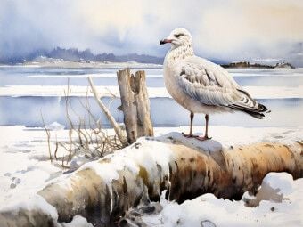 Produktbild: CALVENDO Puzzle Mit der F&auml;hre zur InselEine M&ouml;we wartet auf den Fr&uuml;hling | 1000 Teile Lege-Gr&ouml;&szlig;e 64x48cm Foto-Puzzle f&uuml;r gl&uuml;ckliche Stunden