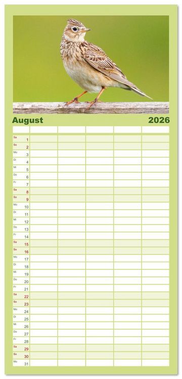 Produktbild: Familienplaner 2026 - V&ouml;gel in unserer Heimat: Kiebitz, Wiedehopf und Turteltaube mit 5 Spalten (Wandkalender, 21 x 45 cm) CALVENDO