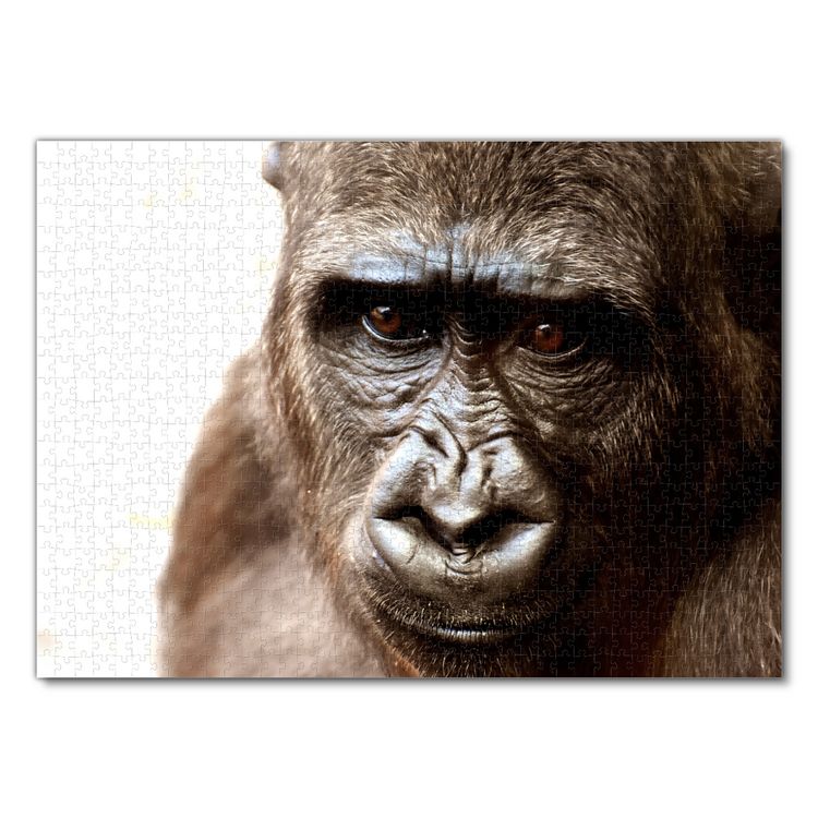 Produktbild: Lais Puzzle Gorilla 1000 Teile