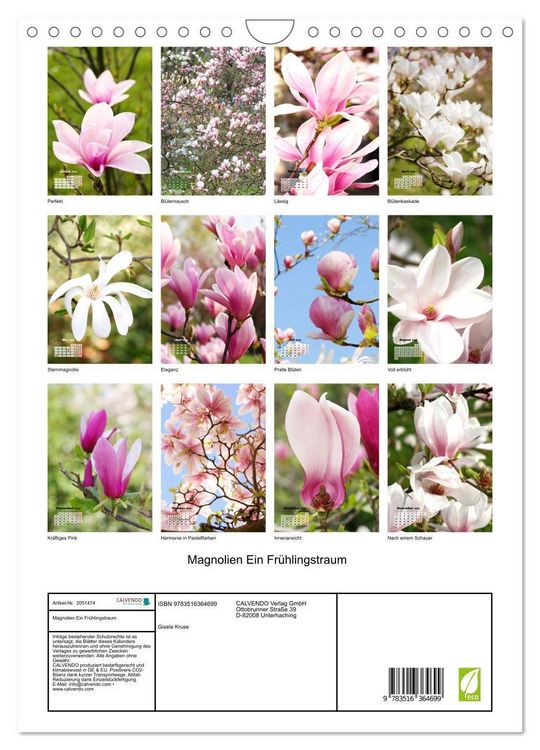 Produktbild: Magnolien Ein Fr&uuml;hlingstraum (Wandkalender 2026 DIN A4 hoch), CALVENDO Monatskalender