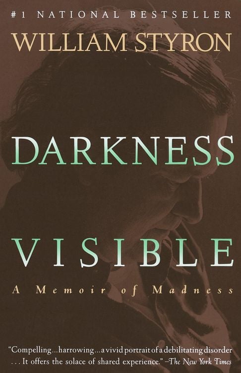 Produktbild: Darkness Visible
