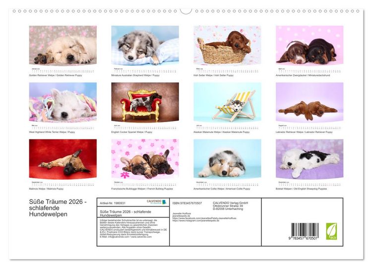 Produktbild: S&uuml;&szlig;e Tr&auml;ume 2026 - schlafende Hundewelpen (hochwertiger Premium Wandkalender 2026 DIN A2 quer), Kunstdruck in Hochglanz