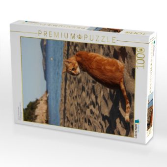 Produktbild: CALVENDO Puzzle Katze am Strand von Ibiza | 1000 Teile Lege-Gr&ouml;&szlig;e 64x48cm Foto-Puzzle f&uuml;r gl&uuml;ckliche Stunden