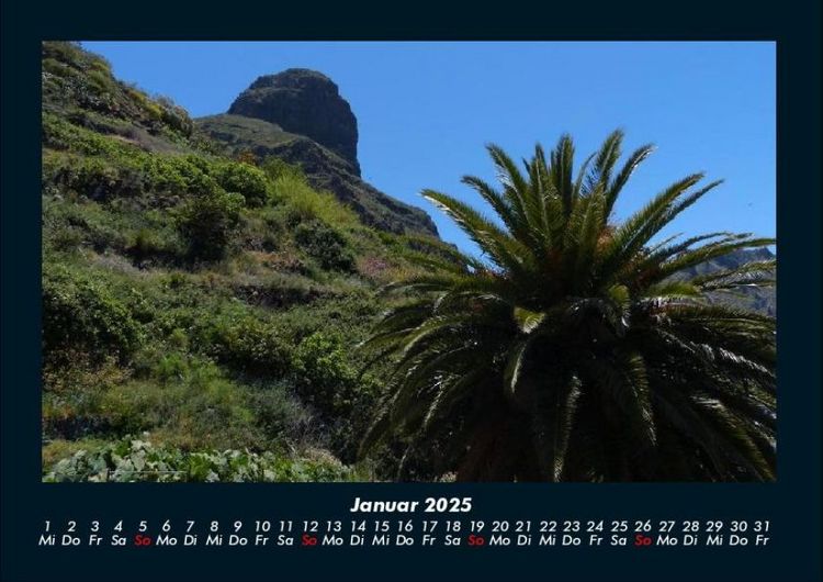 Produktbild: Palmentraum 2025 Fotokalender DIN A4