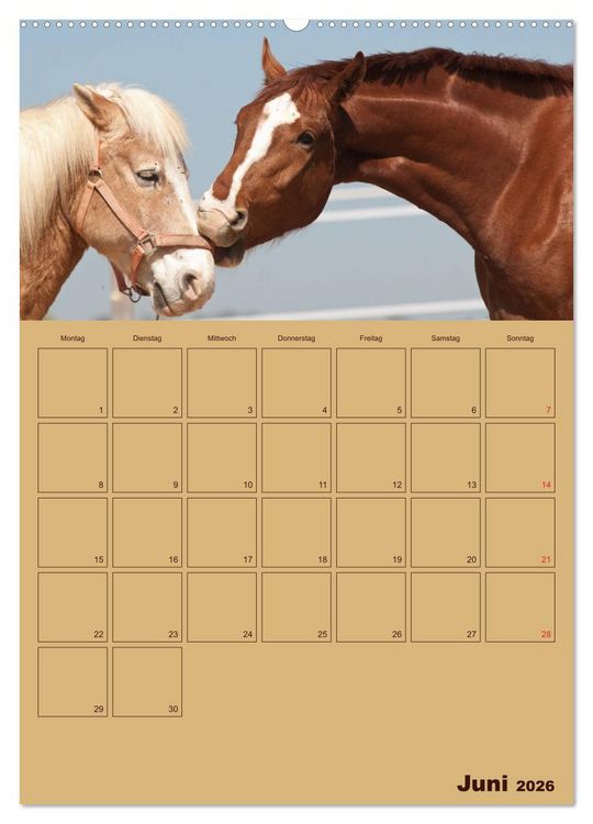 Produktbild: Pferde Gute Freunde (hochwertiger Premium Wandkalender 2026 DIN A2 hoch), Kunstdruck in Hochglanz