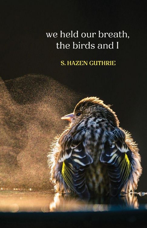 Produktbild: We held our breath, the birds and I