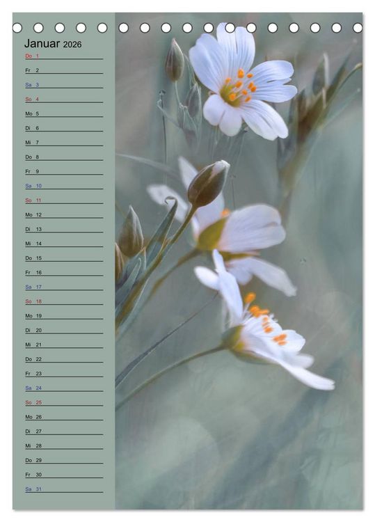 Produktbild: Pastell-Zauber (Tischkalender 2026 DIN A5 hoch), CALVENDO Monatskalender