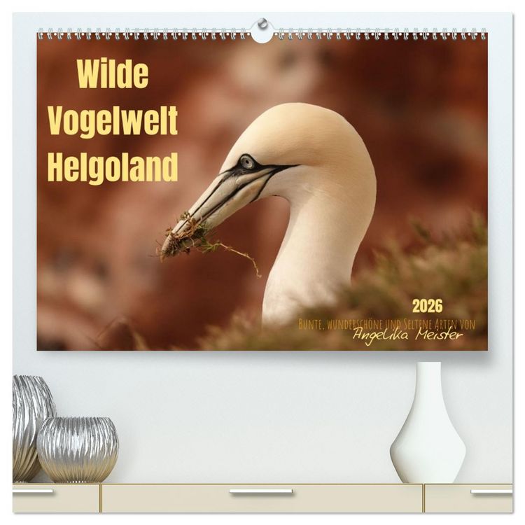 Produktbild: Wilde Vogelwelt Helgoland (hochwertiger Premium Wandkalender 2026 DIN A2 quer), Kunstdruck in Hochglanz