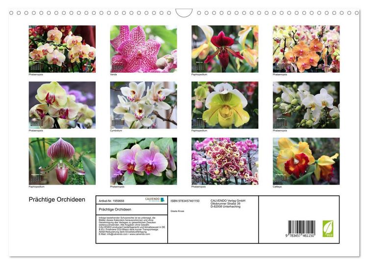 Produktbild: Pr&auml;chtige Orchideen (Wandkalender 2026 DIN A3 quer), CALVENDO Monatskalender