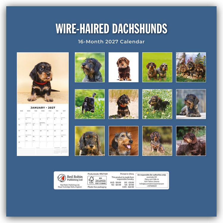 Produktbild: Wire-Haired Dachshunds &ndash; Rauhaardackel 2027 &ndash; 16-Monatskalender