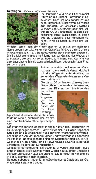 Produktbild: Landschildkr&ouml;ten-Futterpflanzen