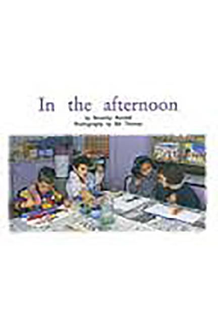 Produktbild: Rigby PM Platinum Collection: Leveled Reader Bookroom Package Green (Levels 12-14) in the Afternoon