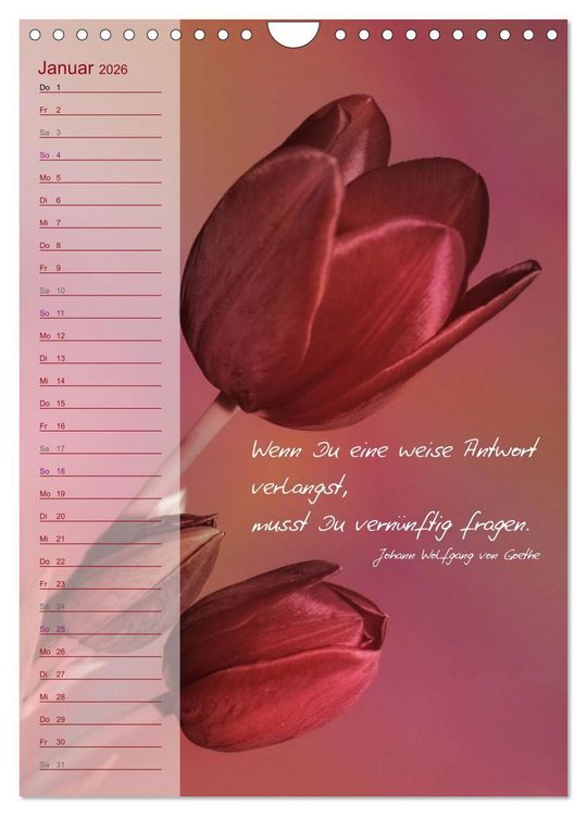 Produktbild: Blumen & Zitate / Geburtstagskalender (Wandkalender 2026 DIN A4 hoch), CALVENDO Monatskalender