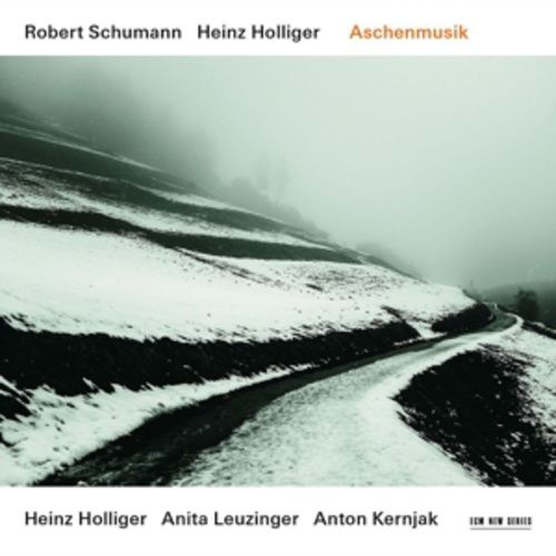 Produktbild: Aschenmusik (2014)