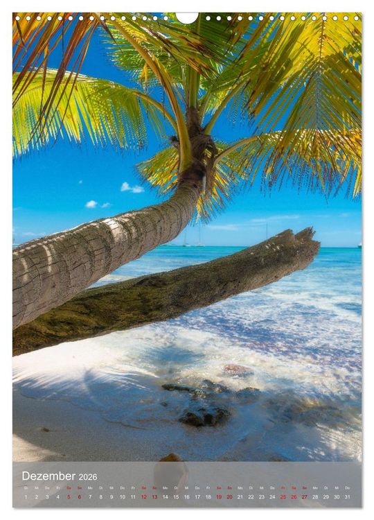 Produktbild: Karibischer Traum Isla Saona (Wandkalender 2026 DIN A3 hoch), CALVENDO Monatskalender