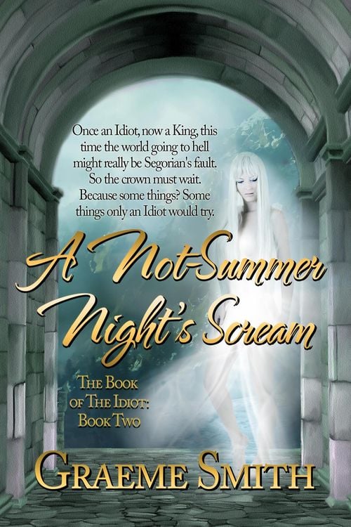 Produktbild: A Not Summer Night's Scream (The Book of the Idiot, #2)