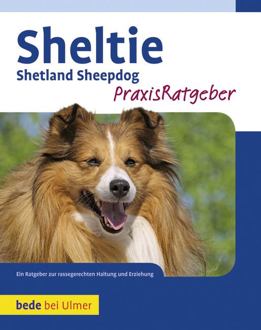 Produktbild: Sheltie