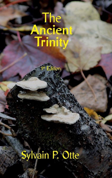 Produktbild: The Ancient Trinity
