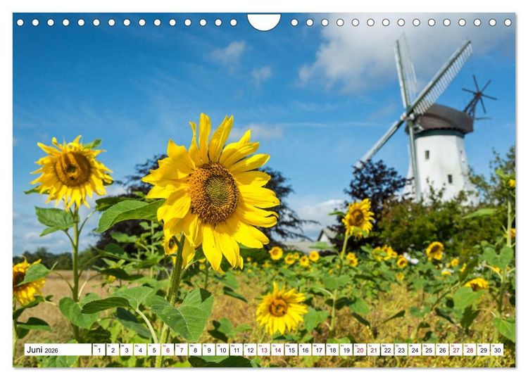 Produktbild: Flensburger F&ouml;rde: Eine Reise durch Deutschlands hohen Norden (Wandkalender 2026 DIN A4 quer), CALVENDO Monatskalender