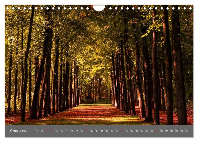 Produktbild: Leuchtendes M&uuml;nster 2026 - die Metropole Westfalens (Wandkalender 2026 DIN A4 quer), CALVENDO Monatskalender