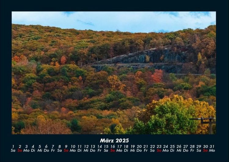 Produktbild: B&auml;ume 2025 Fotokalender DIN A4