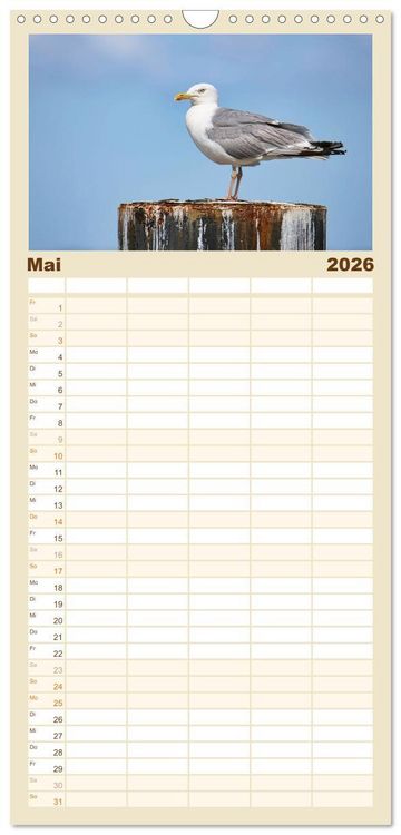 Produktbild: Familienplaner 2026 - Vorpommern mit R&uuml;gen mit 5 Spalten (Wandkalender, 21 x 45 cm) CALVENDO