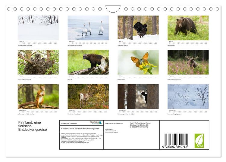 Produktbild: Finnland: eine tierische Entdeckungsreise (Wandkalender 2026 DIN A4 quer), CALVENDO Monatskalender